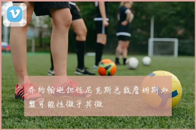 乔约翰逊担任尼克斯总裁詹姆斯加盟可能性微乎其微
