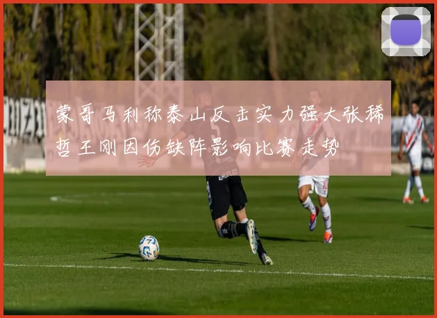 蒙哥马利称泰山反击实力强大张稀哲王刚因伤缺阵影响比赛走势